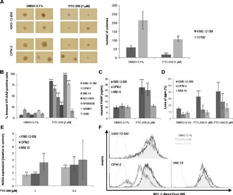 Ptc Inhibits Colony Formation And Induces Apoptosis In Myeloma