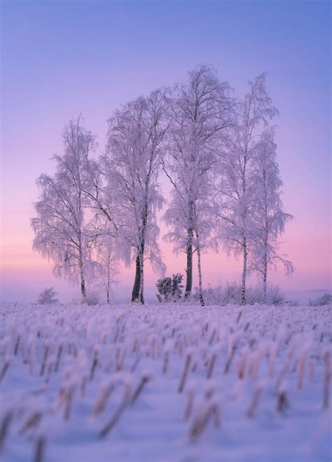 Countryside winter views, Southwest Finland (3832x5332)(OC) Instagram ...