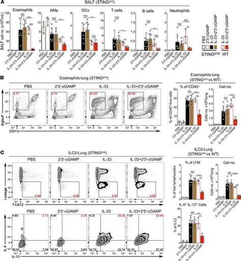 Jci Insight Sting Activation In Alveolar Macrophages And Group