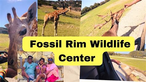 Fossil Rim Wildlife Center Animal Feeding Texas Youtube