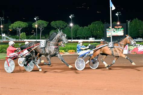 Sabato Allippodromo Snai Sesana In Attesa Fra Sette Giorni Delle