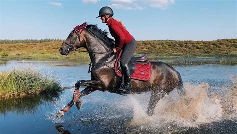 Top 26 Equestrian Instagram Accounts Horse Lovers Should Follow Hrn