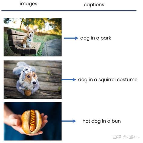 Gradio Ai Image Captioning App