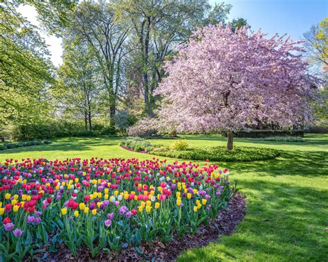 Michigan Nut Photography | Springtime / Flowers