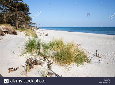 White Sand Beach Of Dueodde On Island S South Coast Dueodde Bornholm