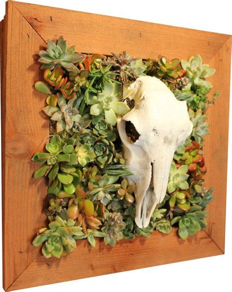 Skullcculent Wall Decor Vertical Succulent Gardens Succulents