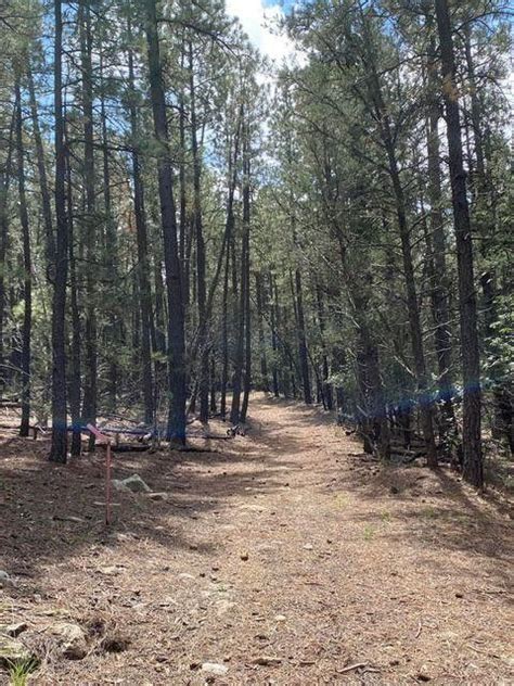 10 Acres In Torrance County New Mexico
