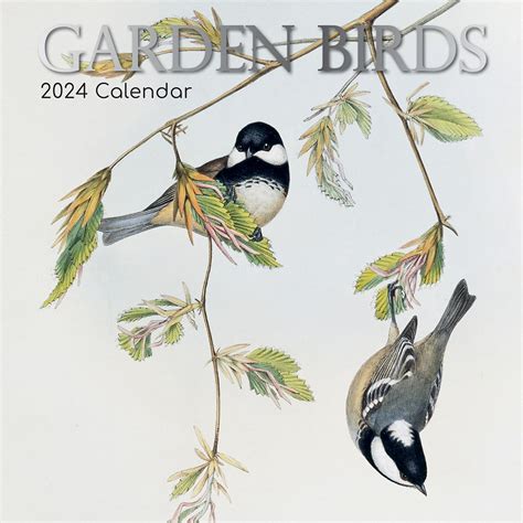 Buy TGSC Garden Birds Wall 2024 16 Months Monthly 2023 2024