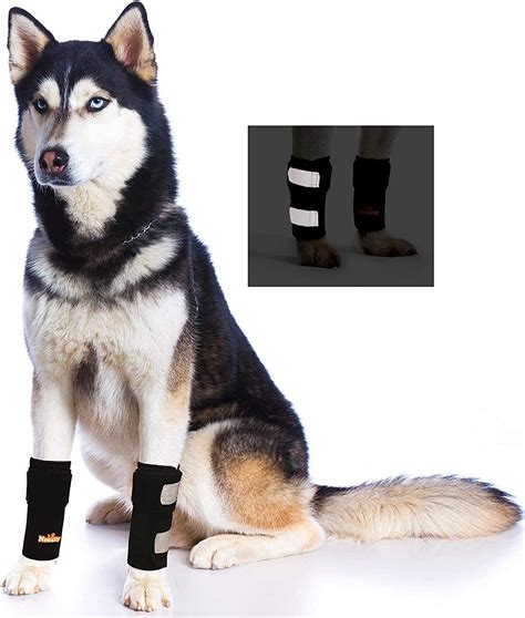 Buy NeoAlly Dog Braces Front Leg Carpal Support Canine Wrist Braces ...