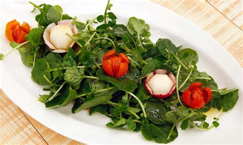 Ensalada De Lechuga Con Berros Recetas De Ensaladas F Ciles