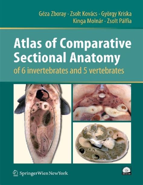 Atlas Of Comparative Sectional Anatomy Of Invertebrates And