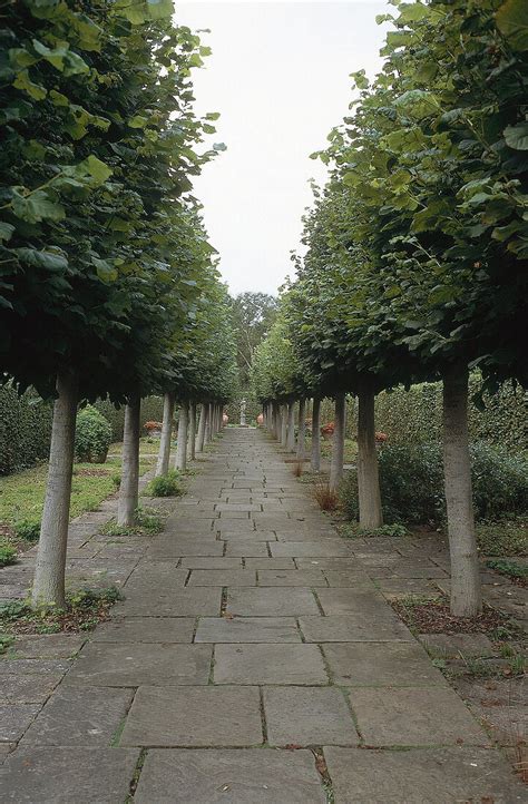 Paved Path With Trees At Sissinghurst License Image 10127380