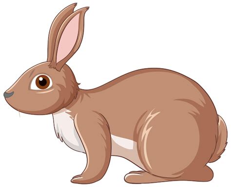 Adorable Cartoon Bunny Cliparts Explore Whimsical Rabbit Illustrations