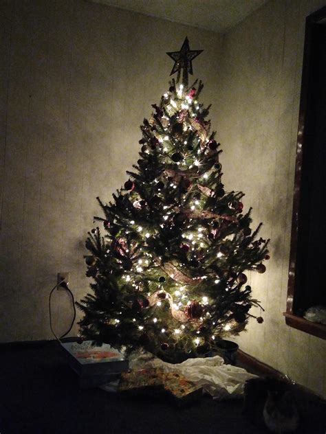 Love the glow of the Christmas tree : r/christmas