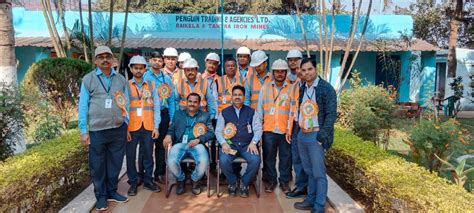 team penguin trading  agencies