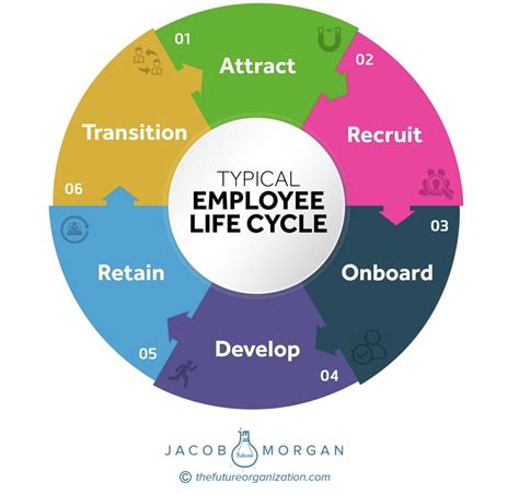 Typical Employee Life Cycle Jacob Morgan Artofit