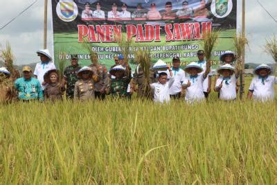 Kementerian Jarang Yang Tahu Ini Sederet Khasiat Daun Pecah Beling