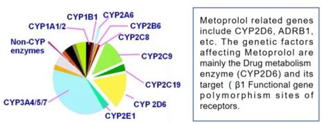 Figure 2 From A Case Study Of Hypotensive Shock Induced By Metoprolol