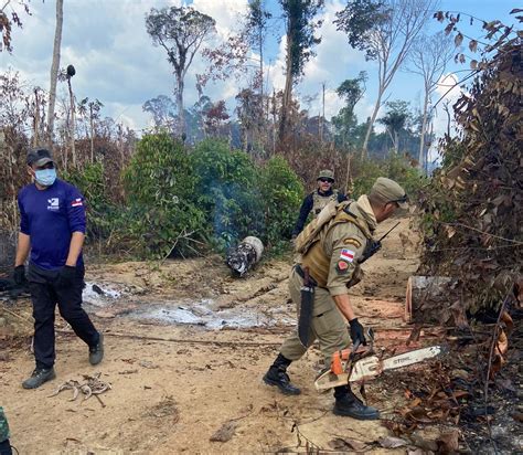 Operação No Am Resulta Em Mais De R 10 Milhões De Multas Em Crimes