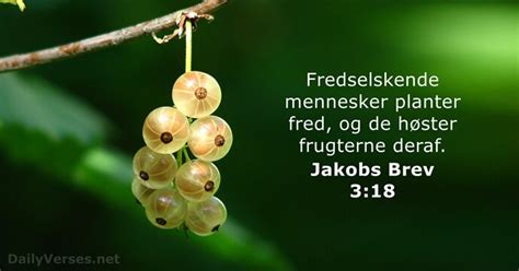 Den Januar Dagens Bibelvers Jakobs Brev Dailyverses Net