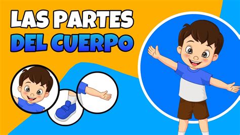 Las Partes Del Cuerpo Humano Para Niños Youtube