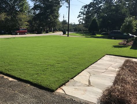 How to Care for Bermuda Grass - Liquid Lawn
