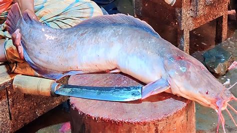 Giant Catfish Cutting Skills By Expert Fish Cutter Amazing Fish