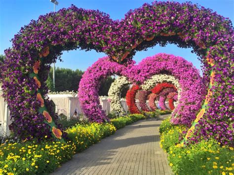 Miracle Garden in Dubai: A Spectacular Flower Garden - Arabia Horizons Blog