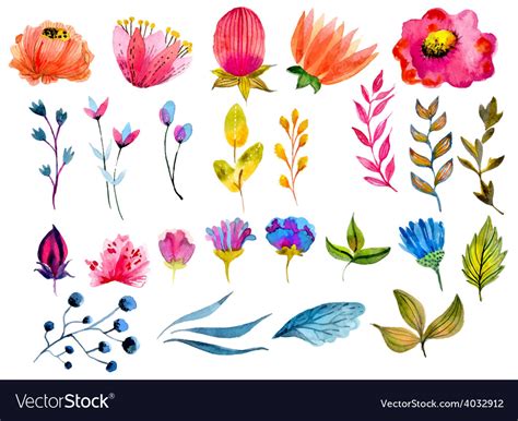 Beautiful Watercolor Flower Set Royalty Free Vector Image