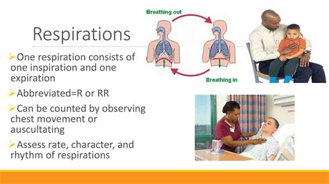 Vital Signs Respirations Ppt Download