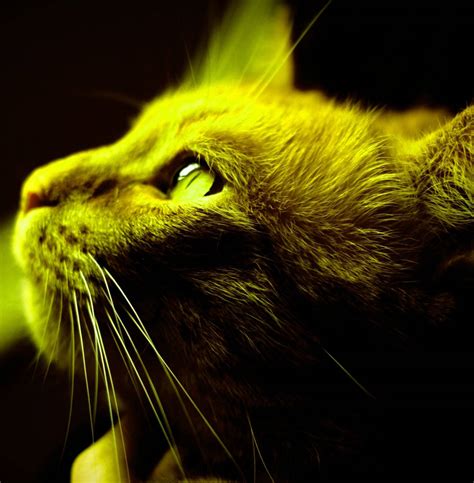 100 Coole Profilbilder Wallpaper Kostenlos