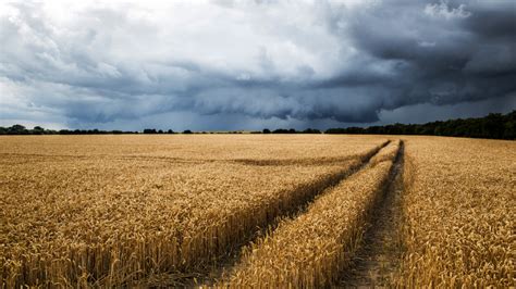 mutatjuk milyen időjárás várható július első hetében nemzeti AGRO