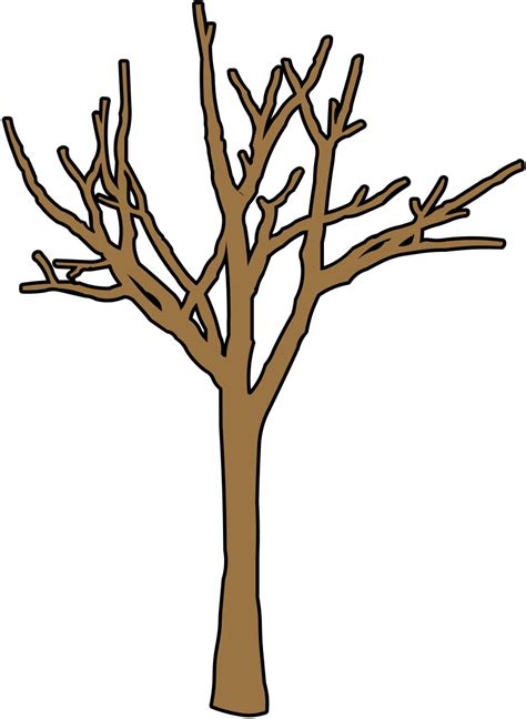 Leafless Tree Outline Clipart Best