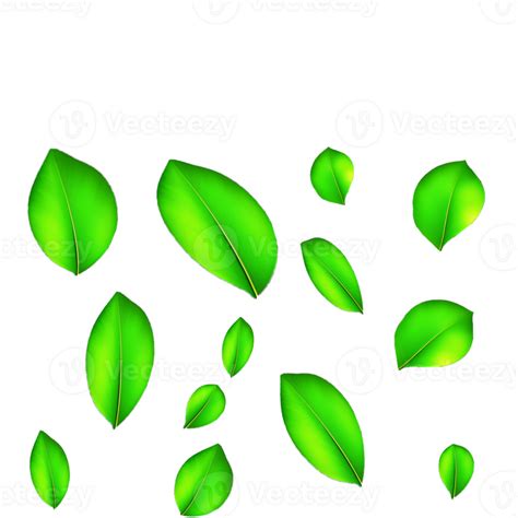 Flotante Verde Hojas Png