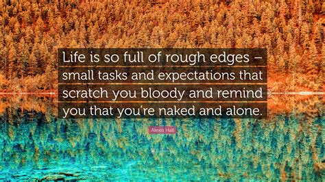 Alexis Hall Quote Life Is So Full Of Rough Edges Small Tasks And