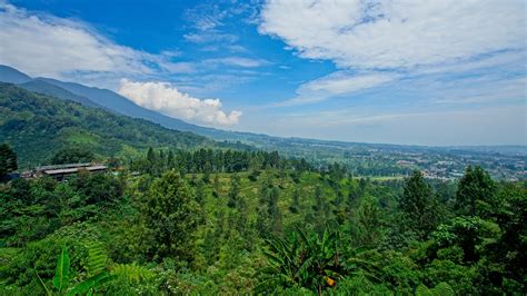 Temukan Hal Terbaik Yang Dapat Dilakukan Di Puncak Atraksi Dan Aktivitas Terpopuler Agoda