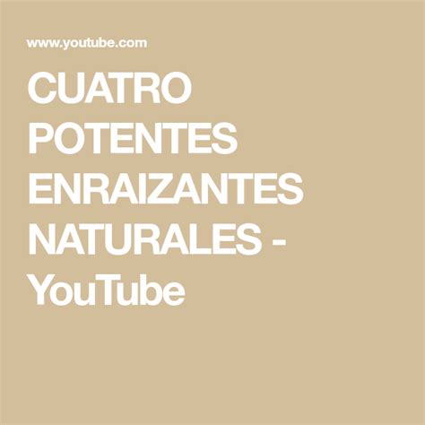 Cuatro Potentes Enraizantes Naturales Youtube Enraizante Natural