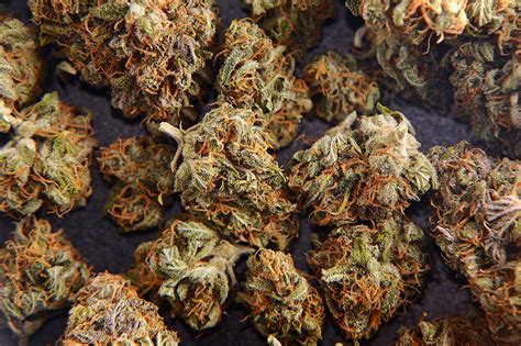 10 Highest Indica Cannabis Strains Of 2021 Allbud