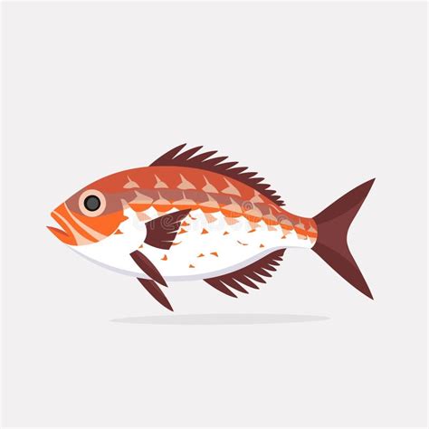Payara Fish Stock Illustrations 8 Payara Fish Stock Illustrations
