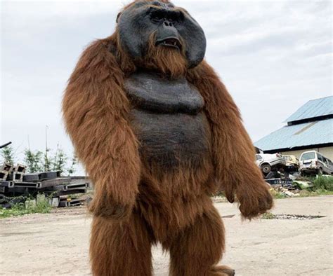 Realistic Animated Gorilla Costume Dcgr001 Artofit