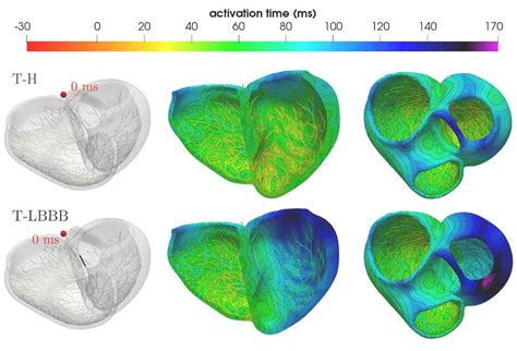 New MOX Report On Coupled Eikonal Problems To Model Cardiac Reentries