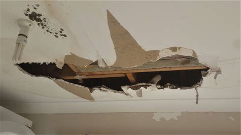 Ceiling Repair Perth Modus Ceilings