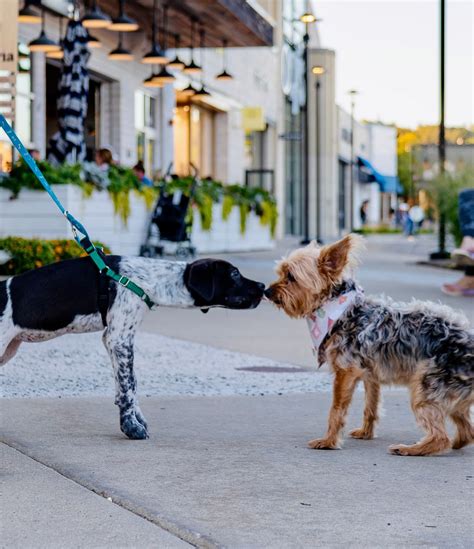 Hilldale | Madison WI