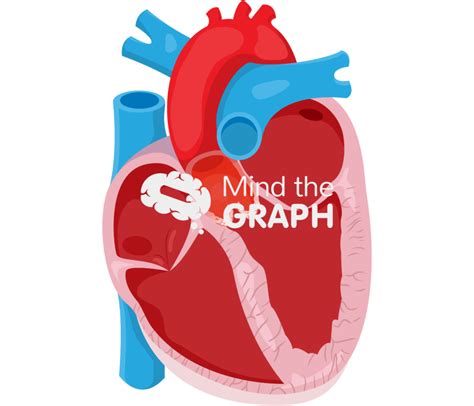 Normal Flow Low Gradient Aortic Stenosis