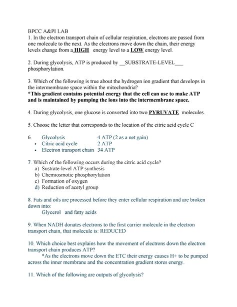 Bpcc A P Lab Hmwk Notes Bpcc A Pi Lab In The Electron