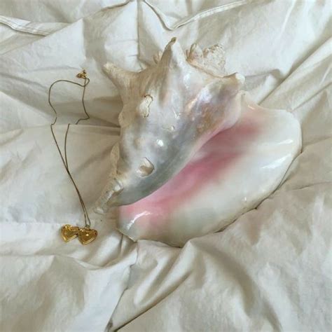 b. lipa (ferry_rrr) - Profile | Pinterest