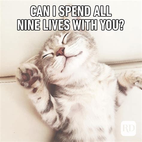 Cute Love Meme