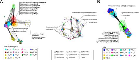 vConTACT: an iVirus tool to classify double-stranded DNA viruses that