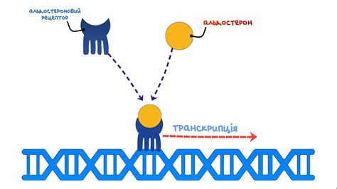 MedOnline