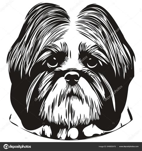 Shih Tzu Perro Dibujado Mano Logo Línea Arte Vector Dibujo Vector de